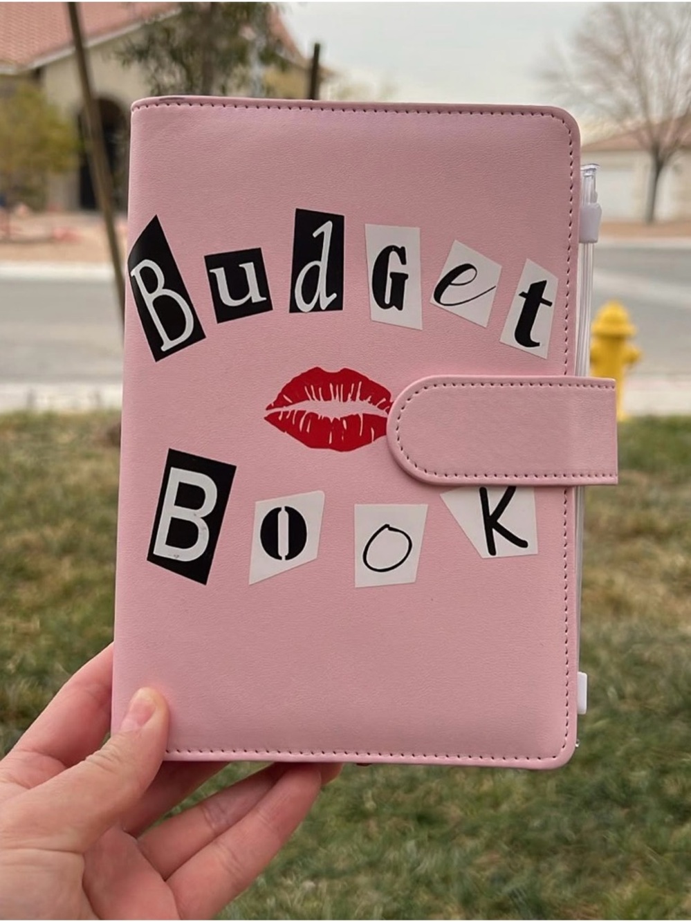 Pink "Budget Book" Kiss Passport Style Notebook